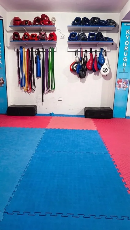 Cascos, protectores y paletas de entrenamiento