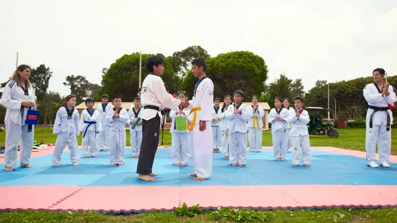 Exhibición de taekwondo al aire libre