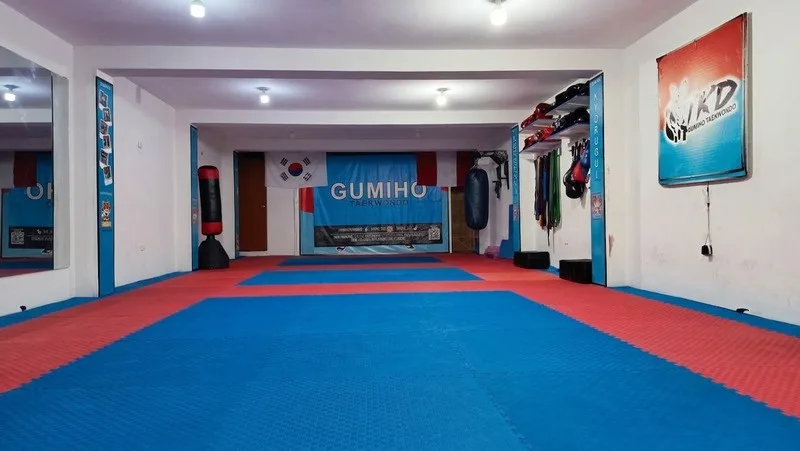 Sala de entrenamiento con tatami azul y rojo